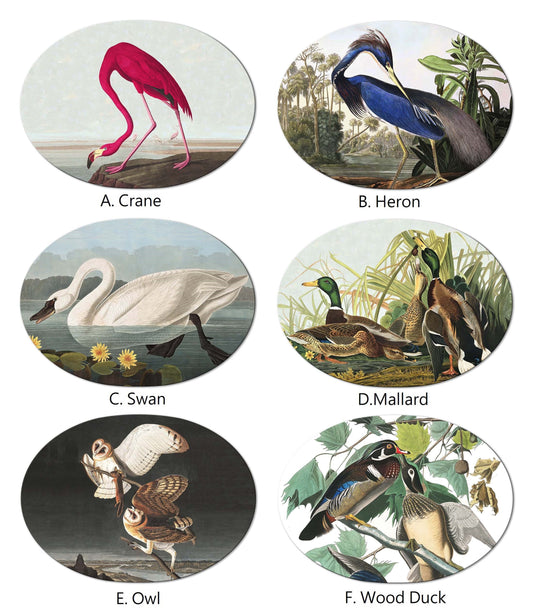 Audubon Bird Oval Placemats For Round Tables Tactile Basket Texture Turned Hem Edges , Waterproof Non Slip
