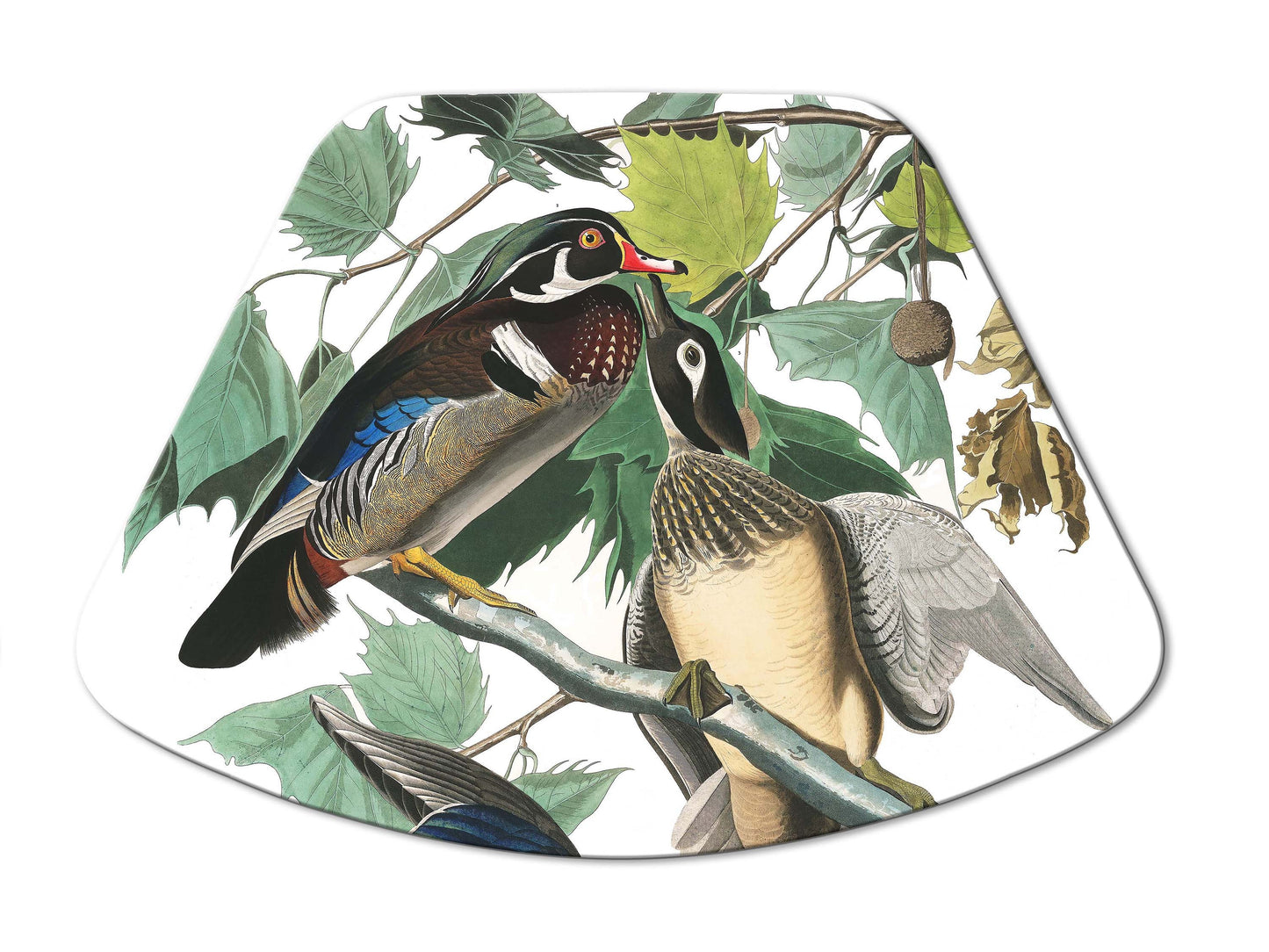 Audubon Bird Placemats For Round Tables Tactile Basket Texture Turned Hem Edges , Waterproof Non Slip Wipe Clean