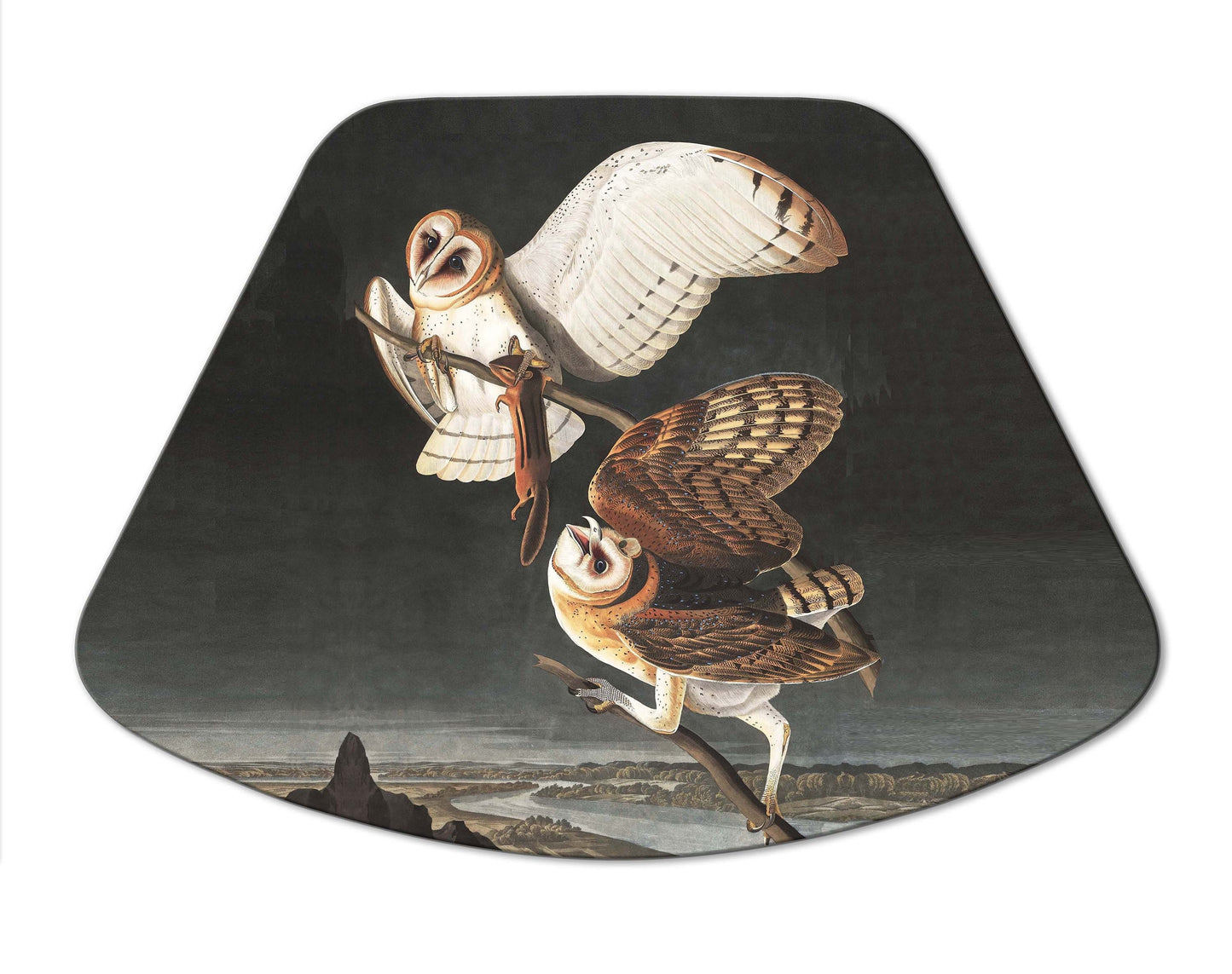 Audubon Bird Placemats For Round Tables Tactile Basket Texture Turned Hem Edges , Waterproof Non Slip Wipe Clean