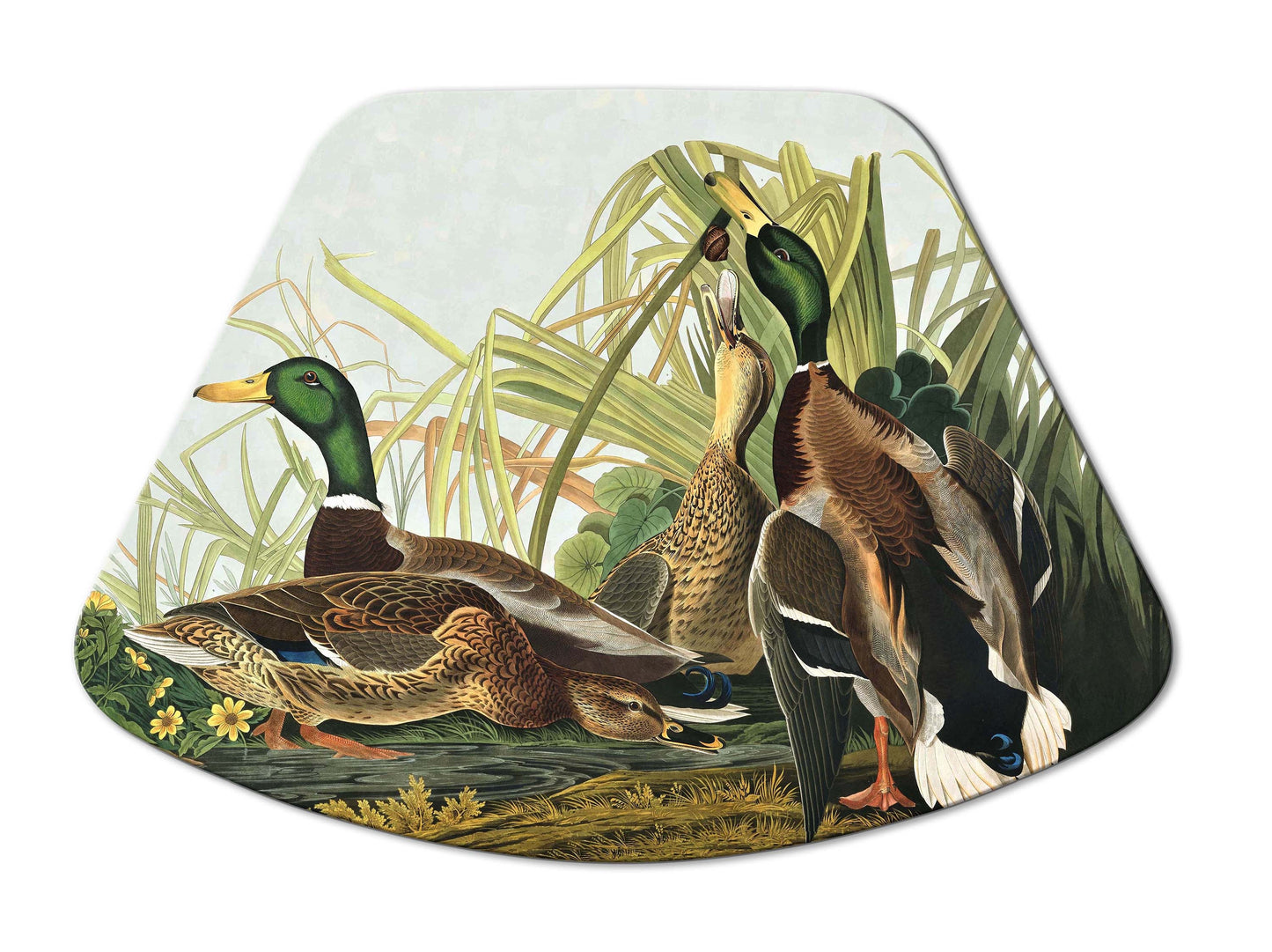 Audubon Bird Placemats For Round Tables Tactile Basket Texture Turned Hem Edges , Waterproof Non Slip Wipe Clean