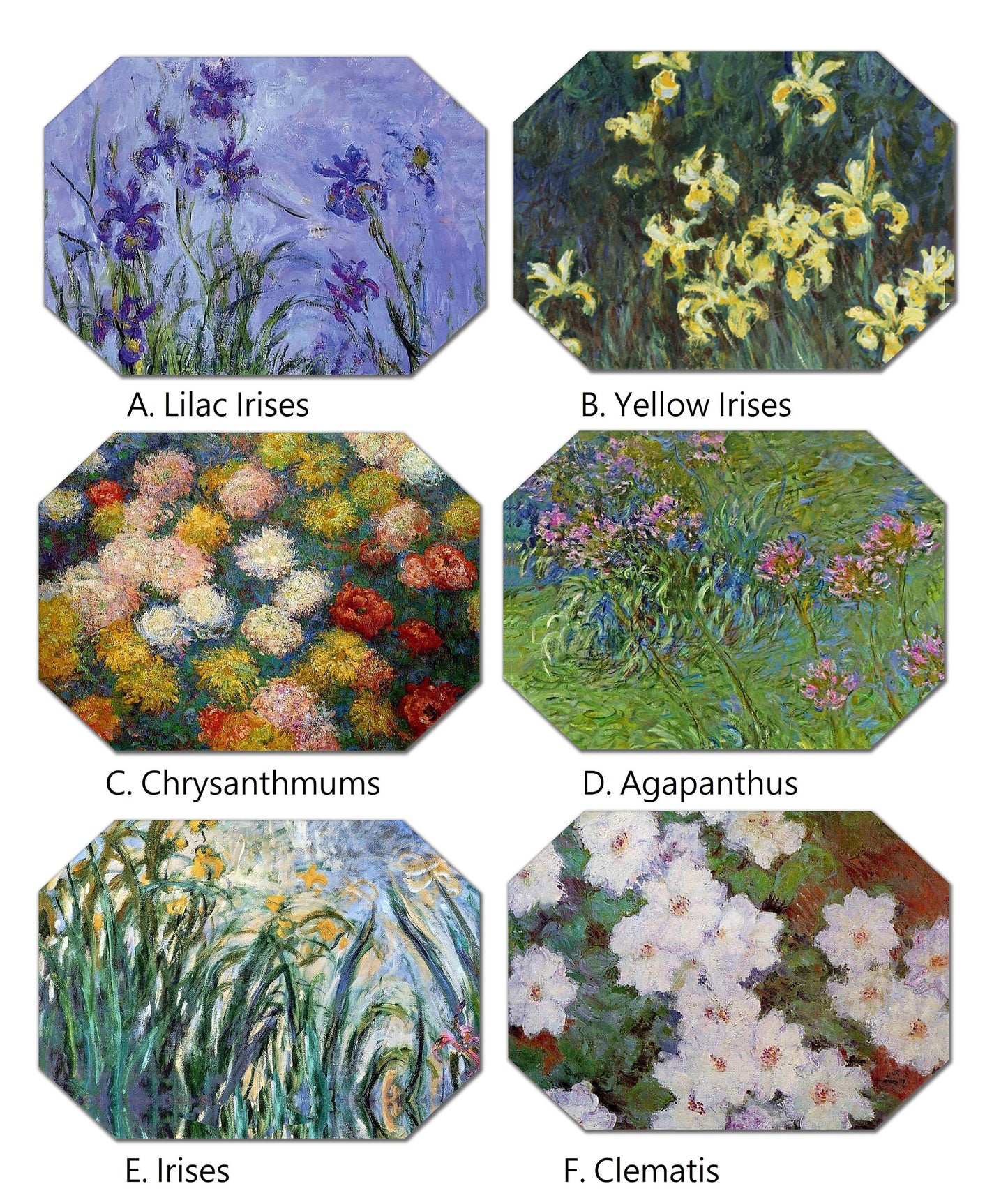 Claude Monet Flower Placemats For Round Tables Tactile Basket Texture Hemmed Edge , Waterproof Sturdy, Flexible.MC4
