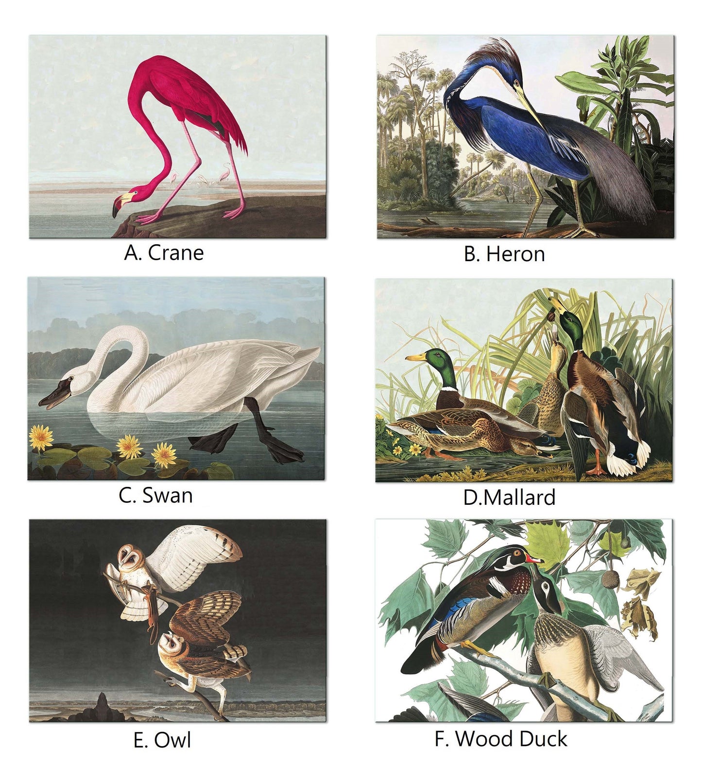 Audubon Bird Oval Placemats For Round Tables Tactile Basket Texture Turned Hem Edges , Waterproof Non Slip