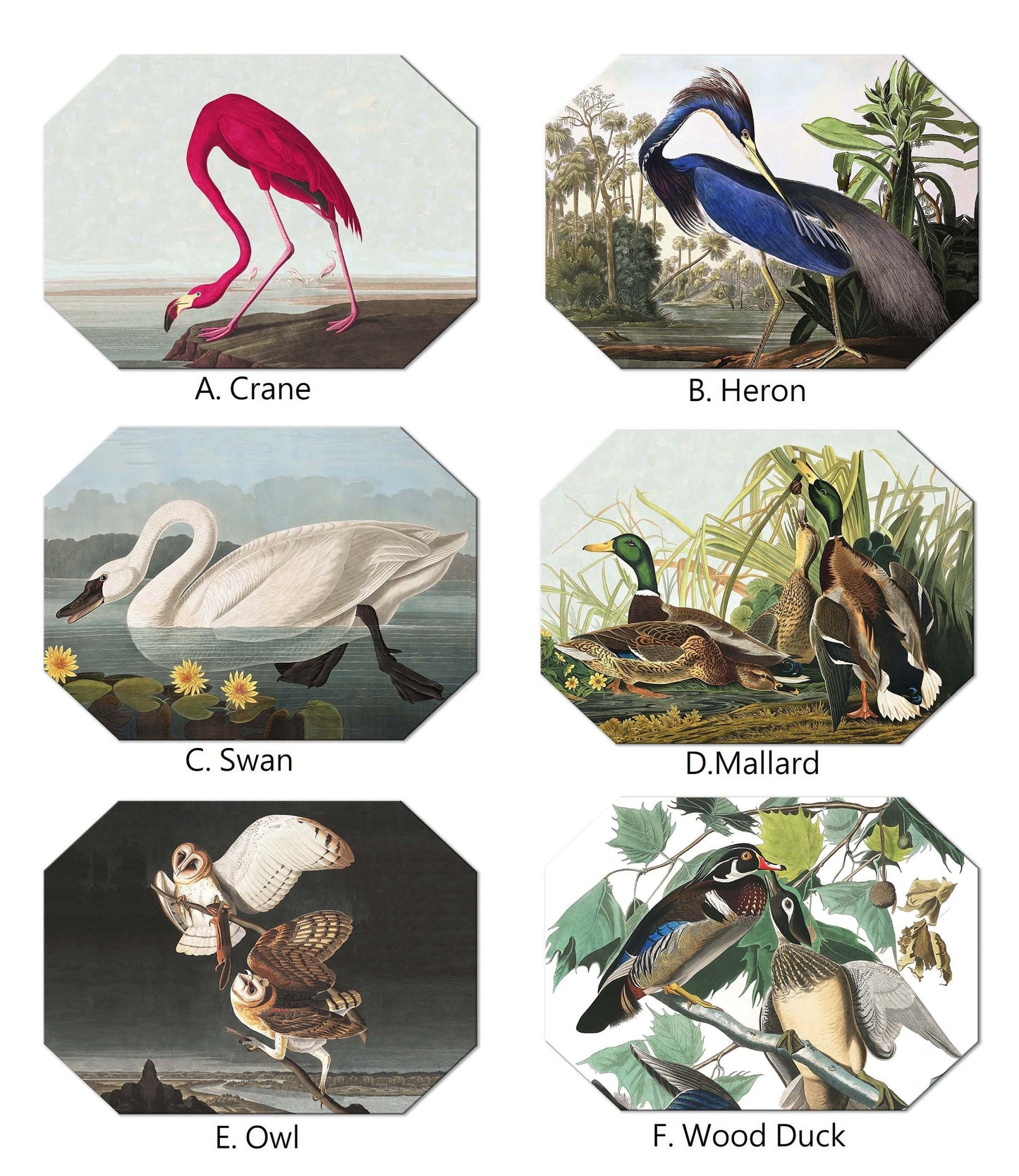 Audubon Bird Oval Placemats For Round Tables Tactile Basket Texture Turned Hem Edges , Waterproof Non Slip