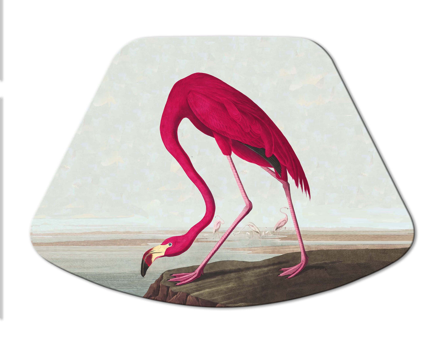 Audubon Bird Placemats For Round Tables Tactile Basket Texture Turned Hem Edges , Waterproof Non Slip Wipe Clean